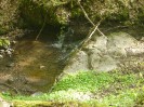 Wanderweg